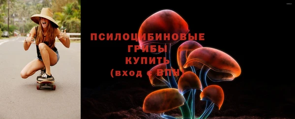 спайс Беломорск