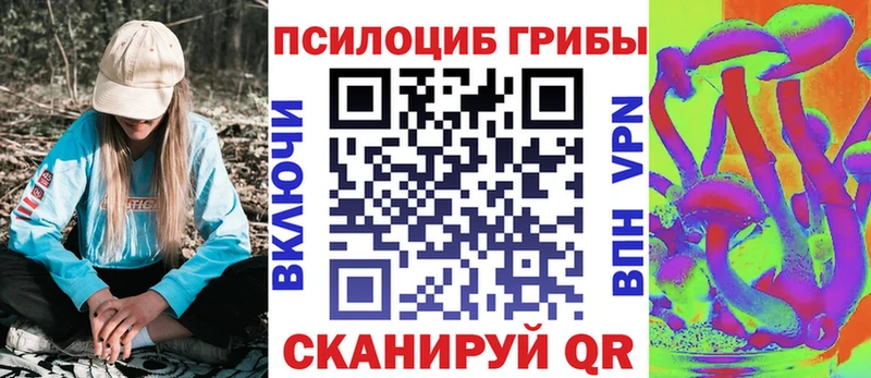 Купить закладки  Городище  Галлюциногенные грибы MAGIC MUSHROOMS 